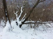 08 Ha nevicato parecchio nei giorni scorsi